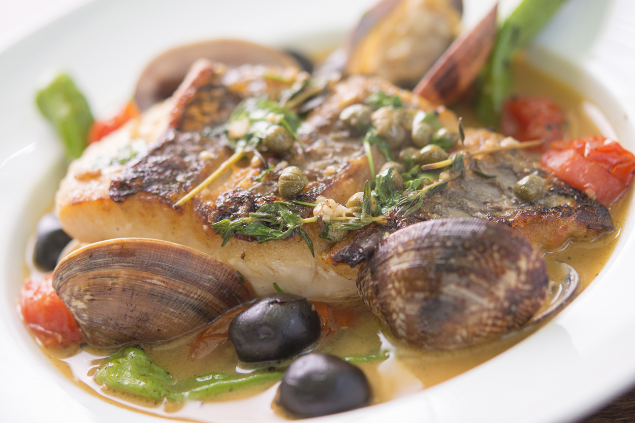 料理・メニューの写真撮影承ります