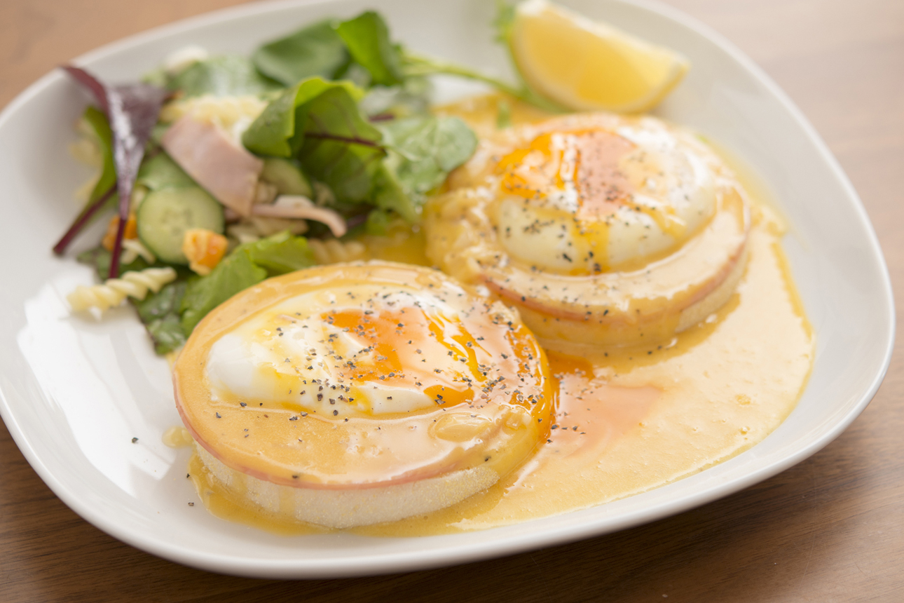 料理・メニューの写真撮影承ります